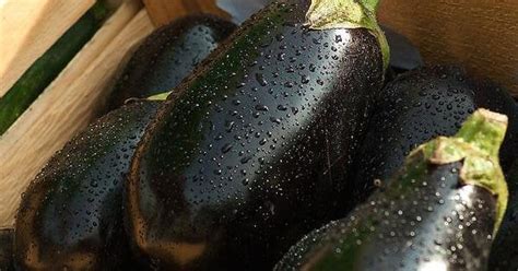 eggplantporn|Eggplant Porn Videos .